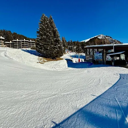 52 5 Spacious Alpe Des Chaux Gryon