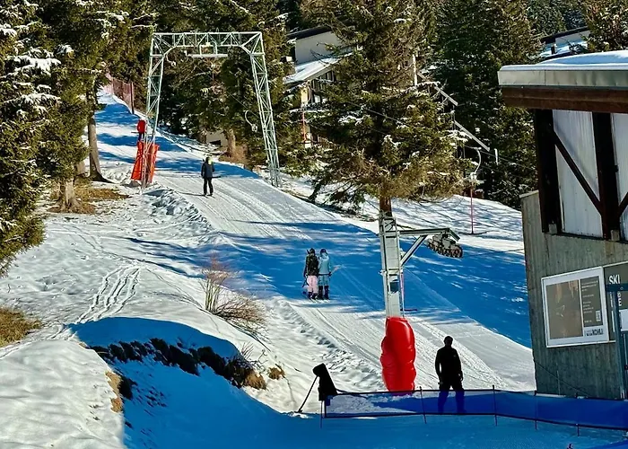 52 5 Spacious Alpe Des Chaux