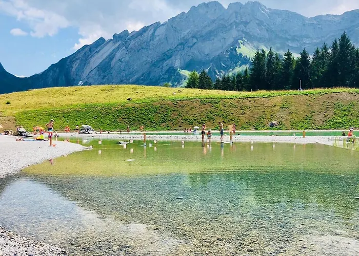 Apartament 52 5 Spacious Alpe Des Chaux Gryon