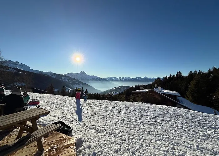 52 5 Spacious Alpe Des Chaux Apartament Gryon