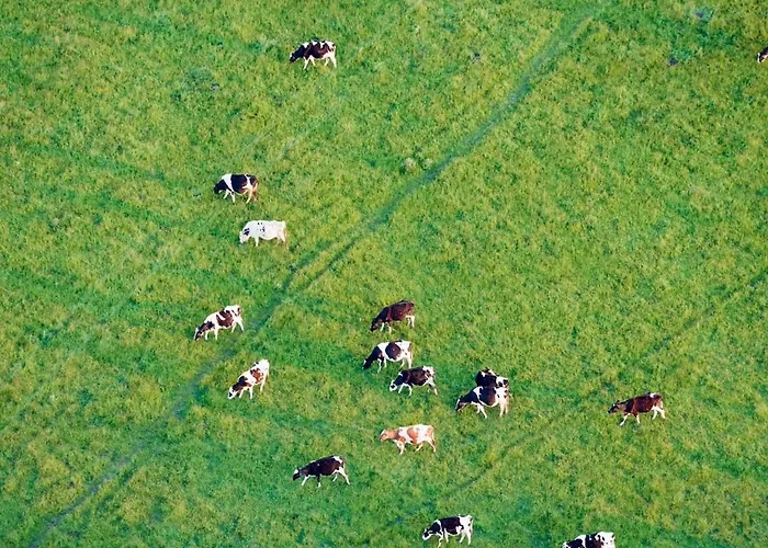 דירה 52 5 Spacious Alpe Des Chaux גריון