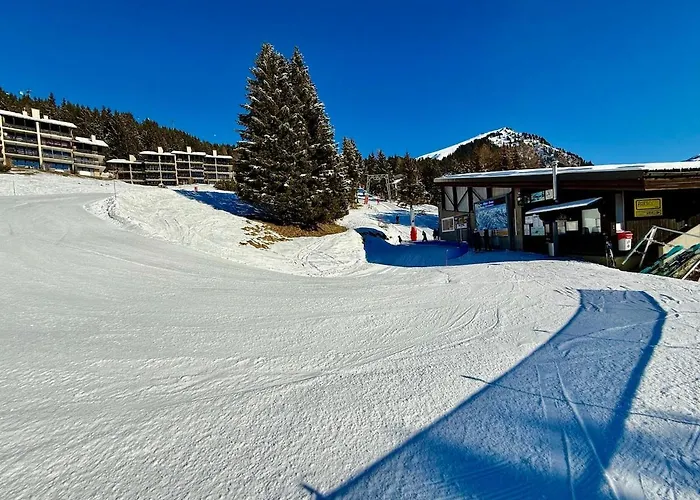 52 5 Spacious Alpe Des Chaux גריון