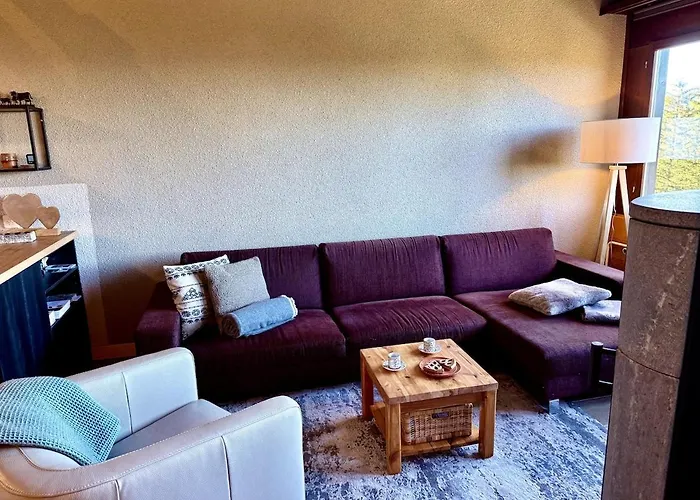 52 5 Spacious Alpe Des Chaux * גריון