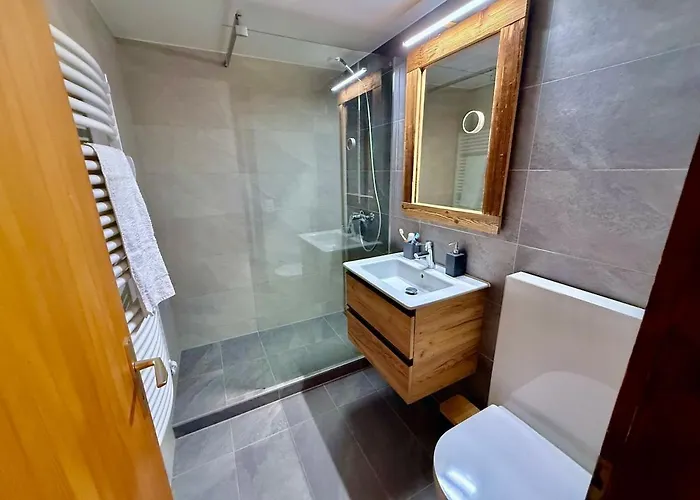 52 5 Spacious Alpe Des Chaux *