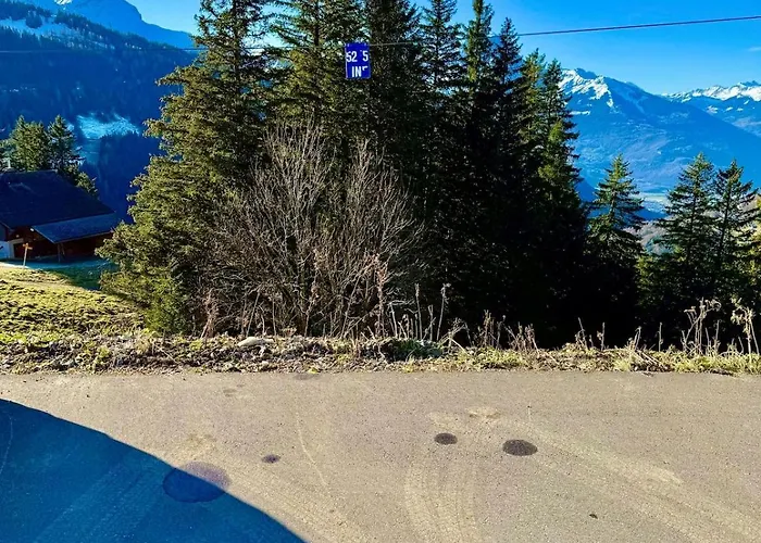 דירה 52 5 Spacious Alpe Des Chaux גריון